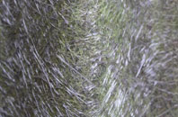 High Houses fibreglass roof work